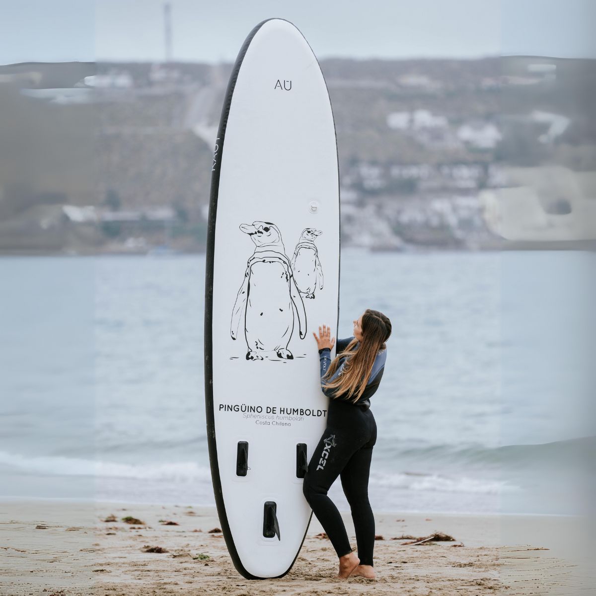 Stand Up Paddle (SUP) Inflable Capa Reforzada - 10'6'' pies / 320 cm + Mochila & Accesorios + TestDrive Laguna Aculeo