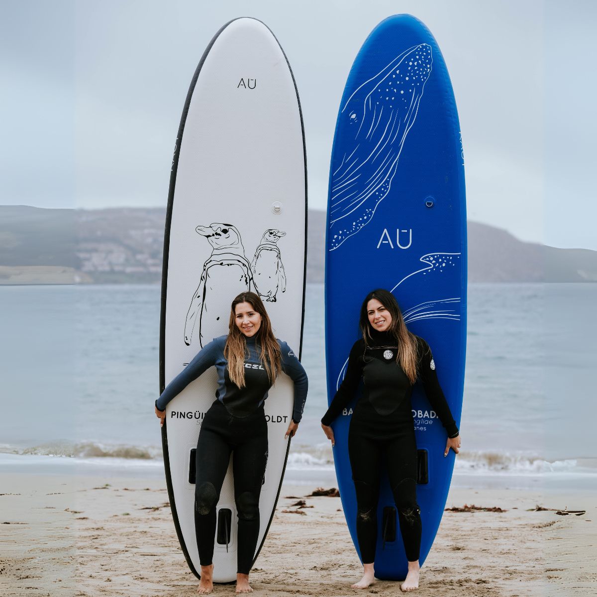 Stand Up Paddle (SUP) Inflable Capa Reforzada - 10'6'' pies / 320 cm + Mochila & Accesorios + TestDrive Laguna Aculeo