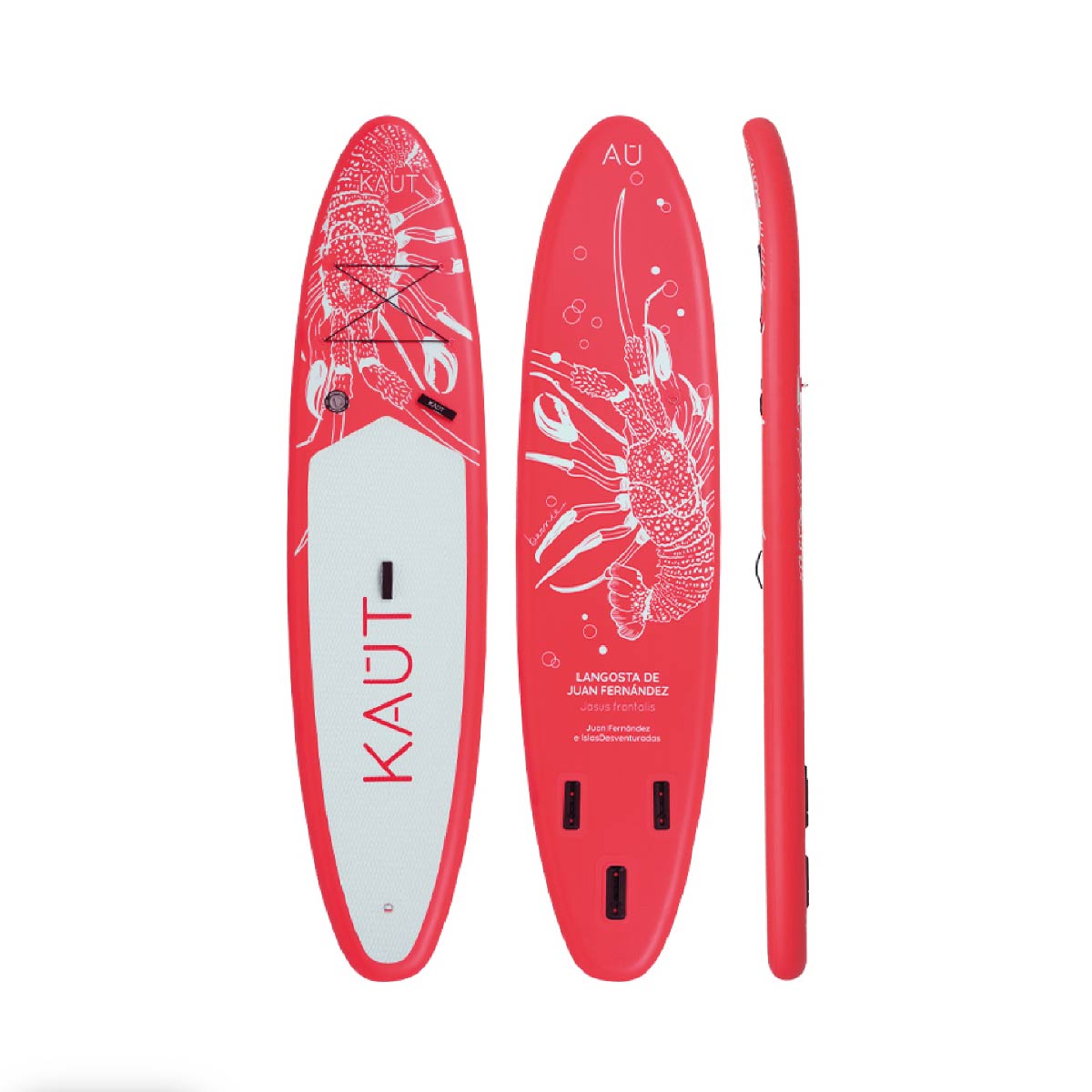 Stand Up Paddle (SUP) Inflable Capa Reforzada - 10'6'' pies / 320 cm + Mochila & Accesorios + TestDrive Laguna Aculeo