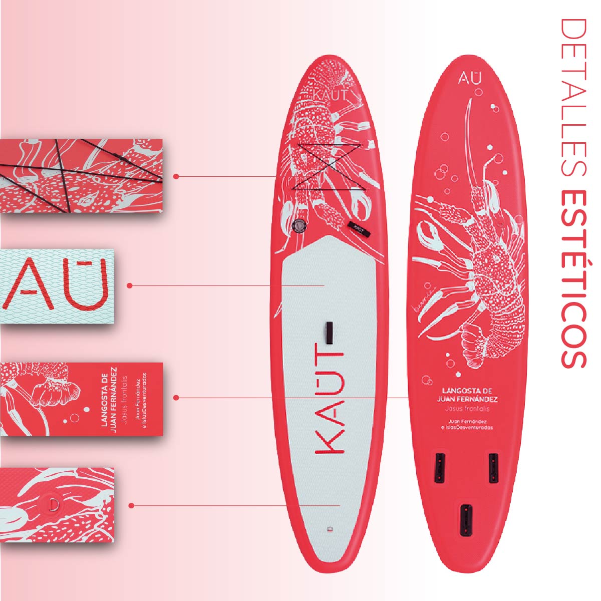Stand Up Paddle (SUP) Inflable Capa Reforzada - 10'6'' pies / 320 cm + Mochila & Accesorios + TestDrive Laguna Aculeo