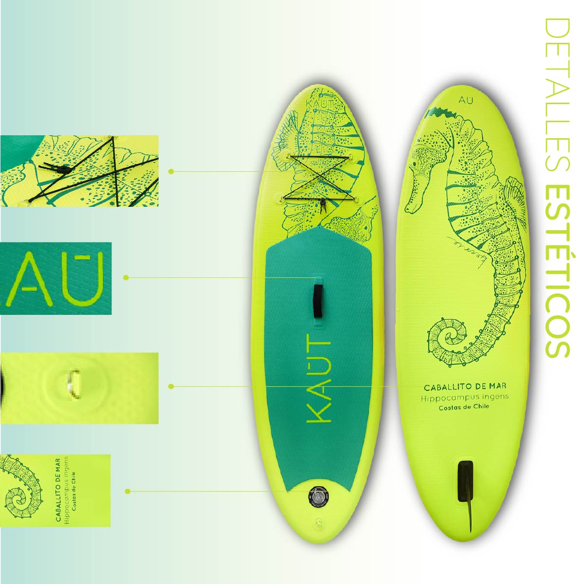 Stand Up Paddle (SUP) Inflable Capa Reforzada Kids Caballito de Mar- 8' pies / 244 cm + Mochila & Accesorios + TestDrive Laguna Aculeo