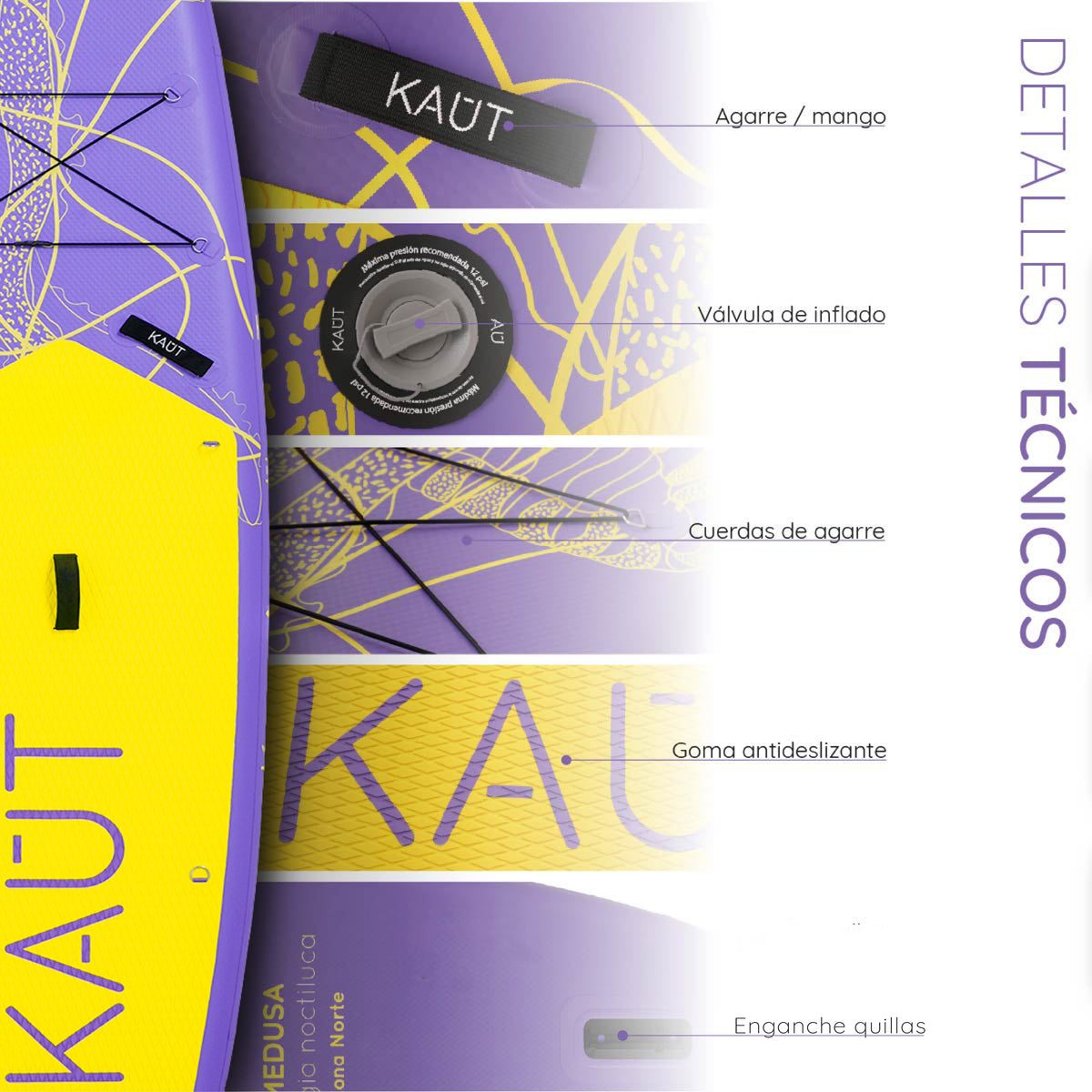 #color_morado