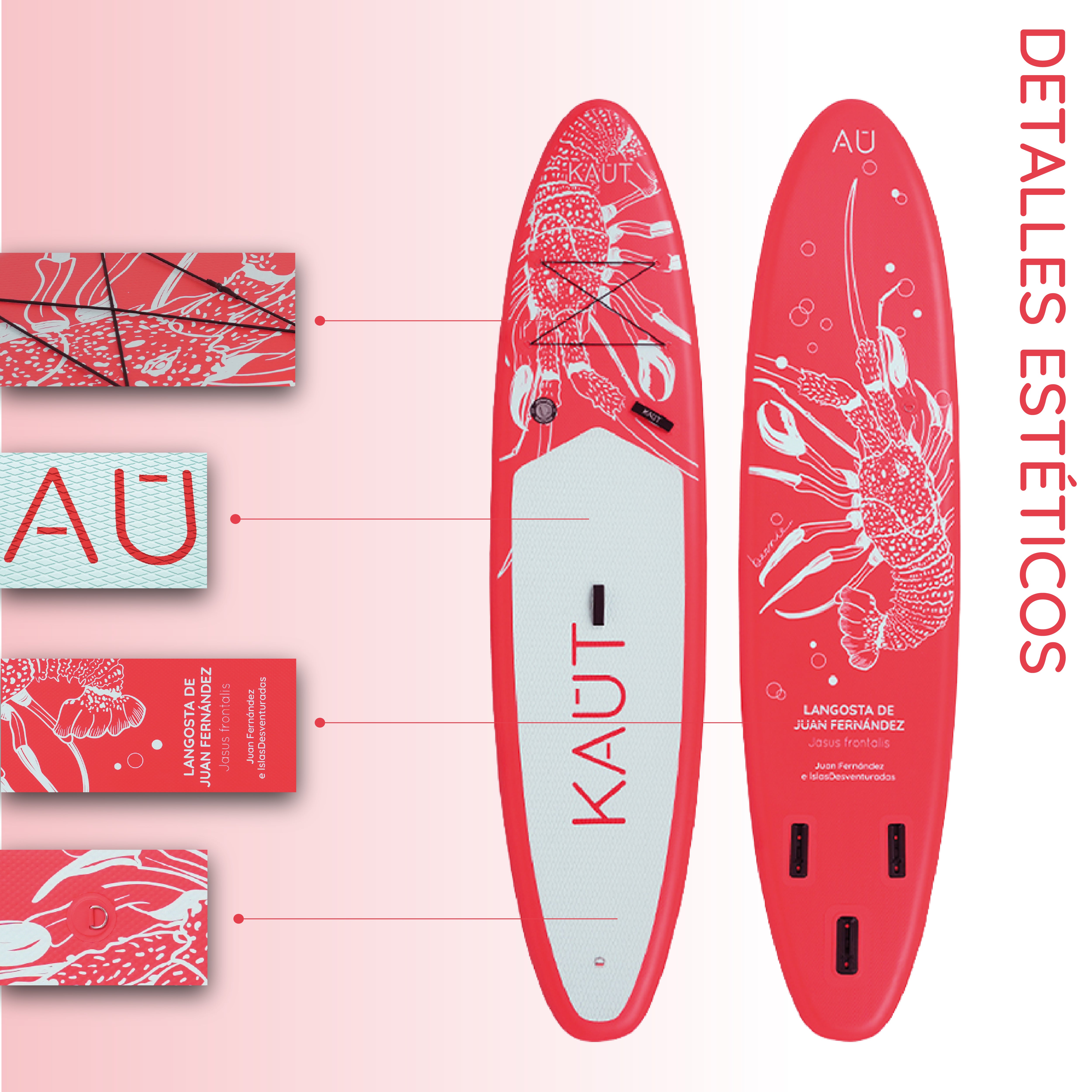 Stand Up Paddle (SUP) Inflable Capa Reforzada - 11'6'' pies / 350 cm + Mochila & Accesorios + TestDrive Laguna Aculeo