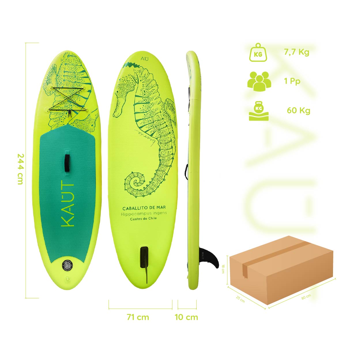 Stand Up Paddle (SUP) Inflable Capa Reforzada Kids Caballito de Mar- 8' pies / 244 cm + Mochila & Accesorios + TestDrive Laguna Aculeo