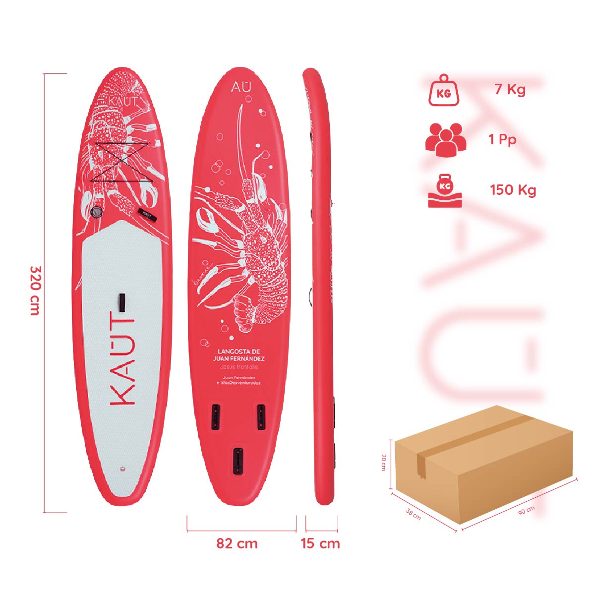 Stand Up Paddle (SUP) Inflable Capa Reforzada - 10'6'' pies / 320 cm + Mochila & Accesorios + TestDrive Laguna Aculeo