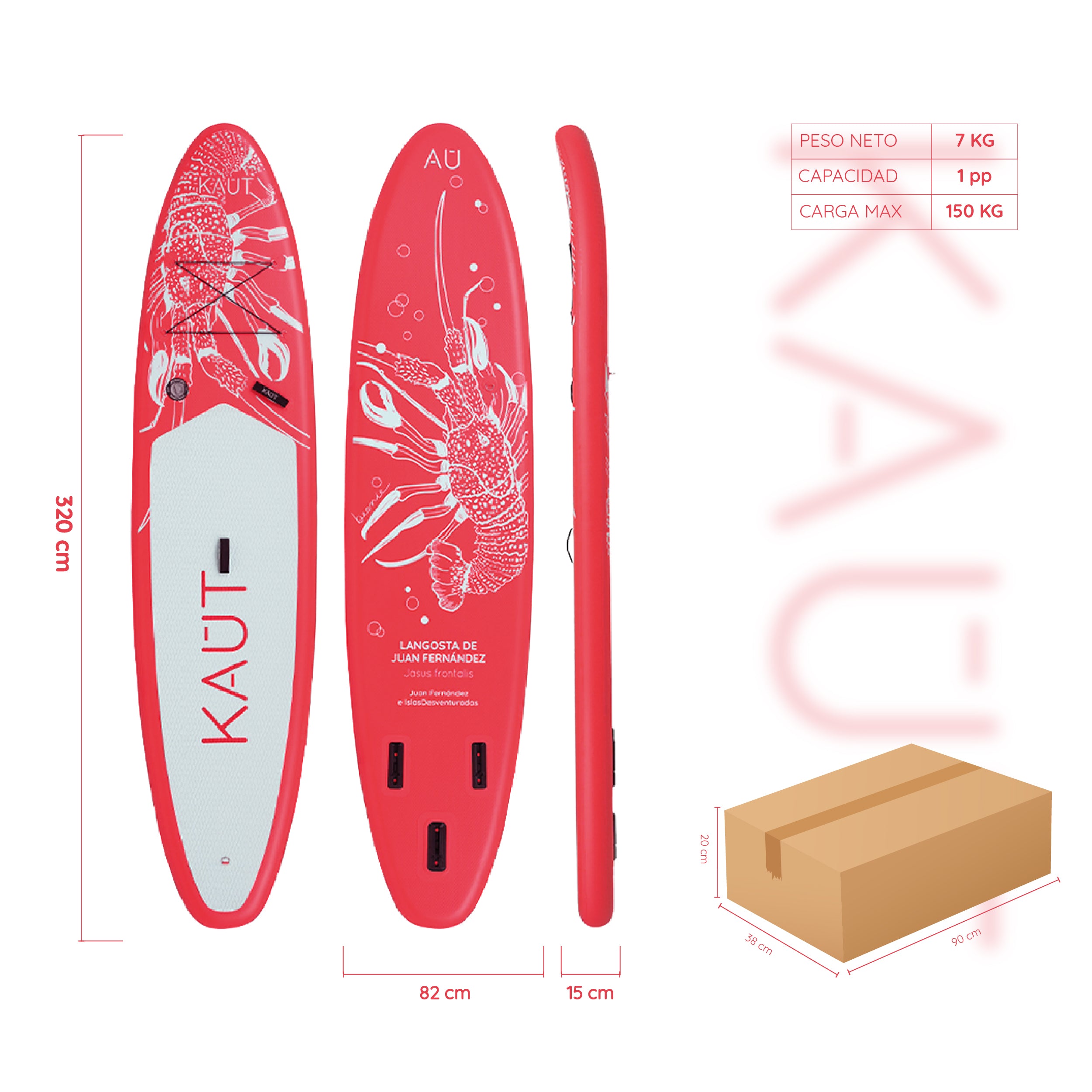 Stand Up Paddle (SUP) Inflable Capa Reforzada - 10'6'' pies / 320 cm + Mochila & Accesorios + TestDrive Laguna Aculeo