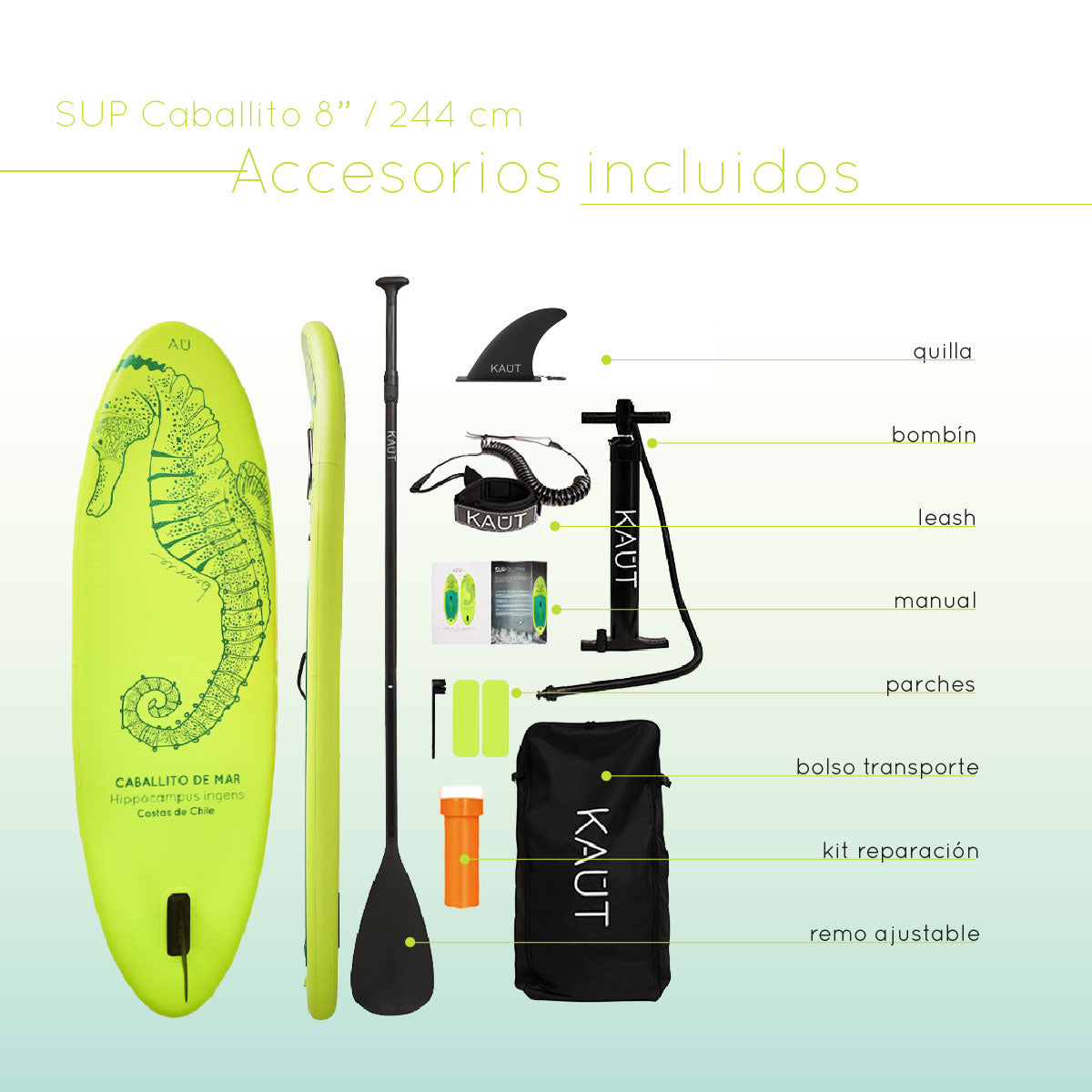 Stand Up Paddle (SUP) Inflable Kids - 8' pies / 244 cm + Mochila & Accesorios