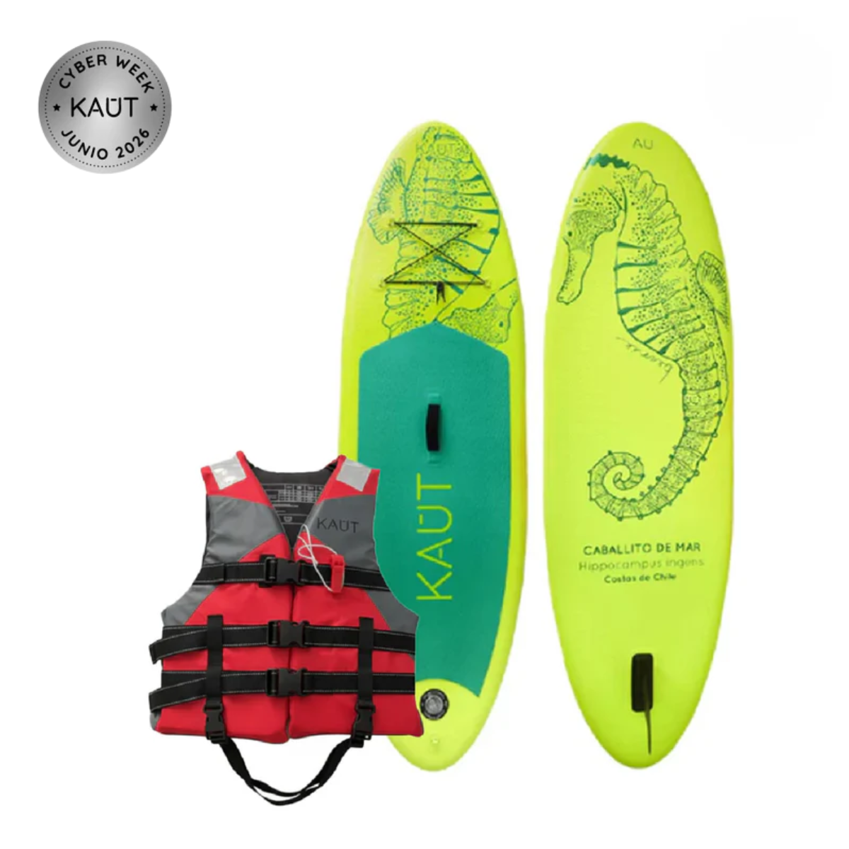 Pack SUP Kids 8' (244 cm) & Accesorios + Salvavidas Deportivo
