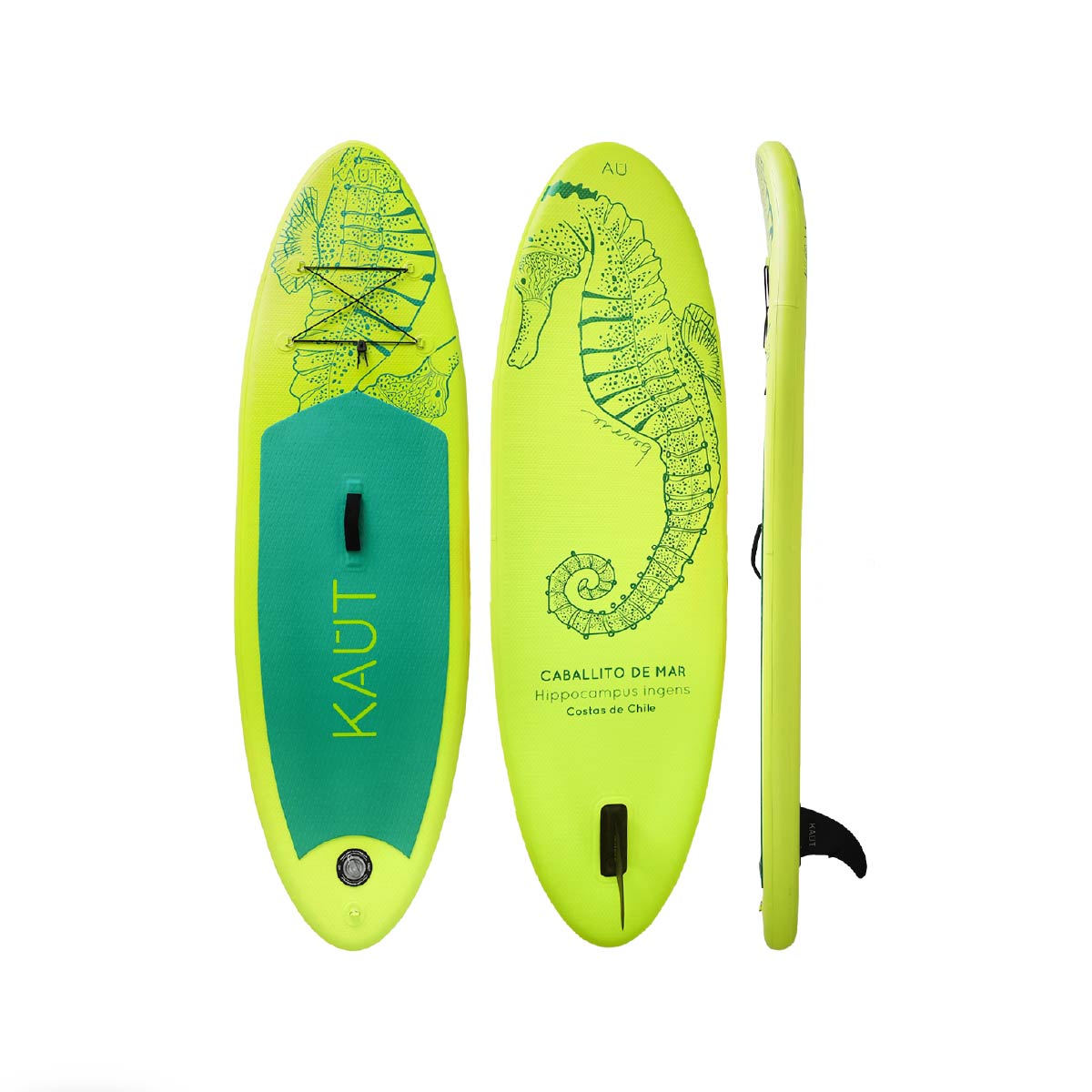 Stand Up Paddle (SUP) Inflable Capa Reforzada Kids Caballito de Mar- 8' pies / 244 cm + Mochila & Accesorios + TestDrive Laguna Aculeo
