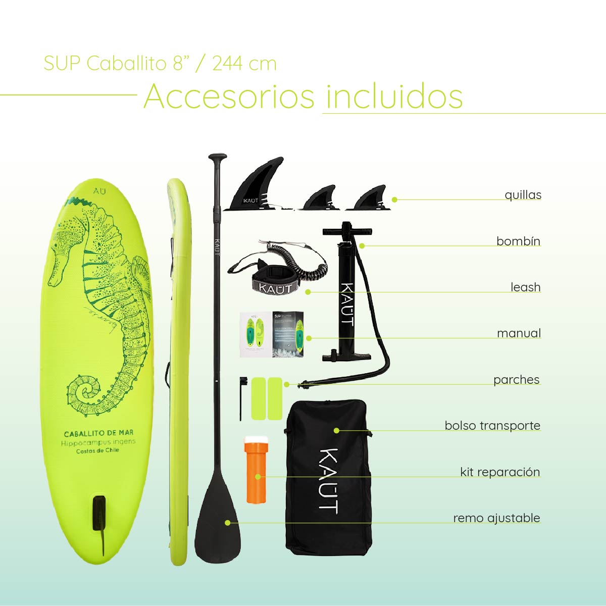 Stand Up Paddle (SUP) Inflable Capa Reforzada Kids Caballito de Mar- 8' pies / 244 cm + Mochila & Accesorios + TestDrive Laguna Aculeo