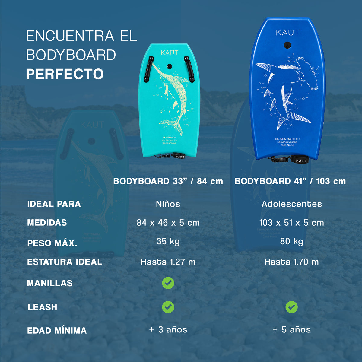 Pack 2 Bodyboards 84 cm Pez Espada Verde