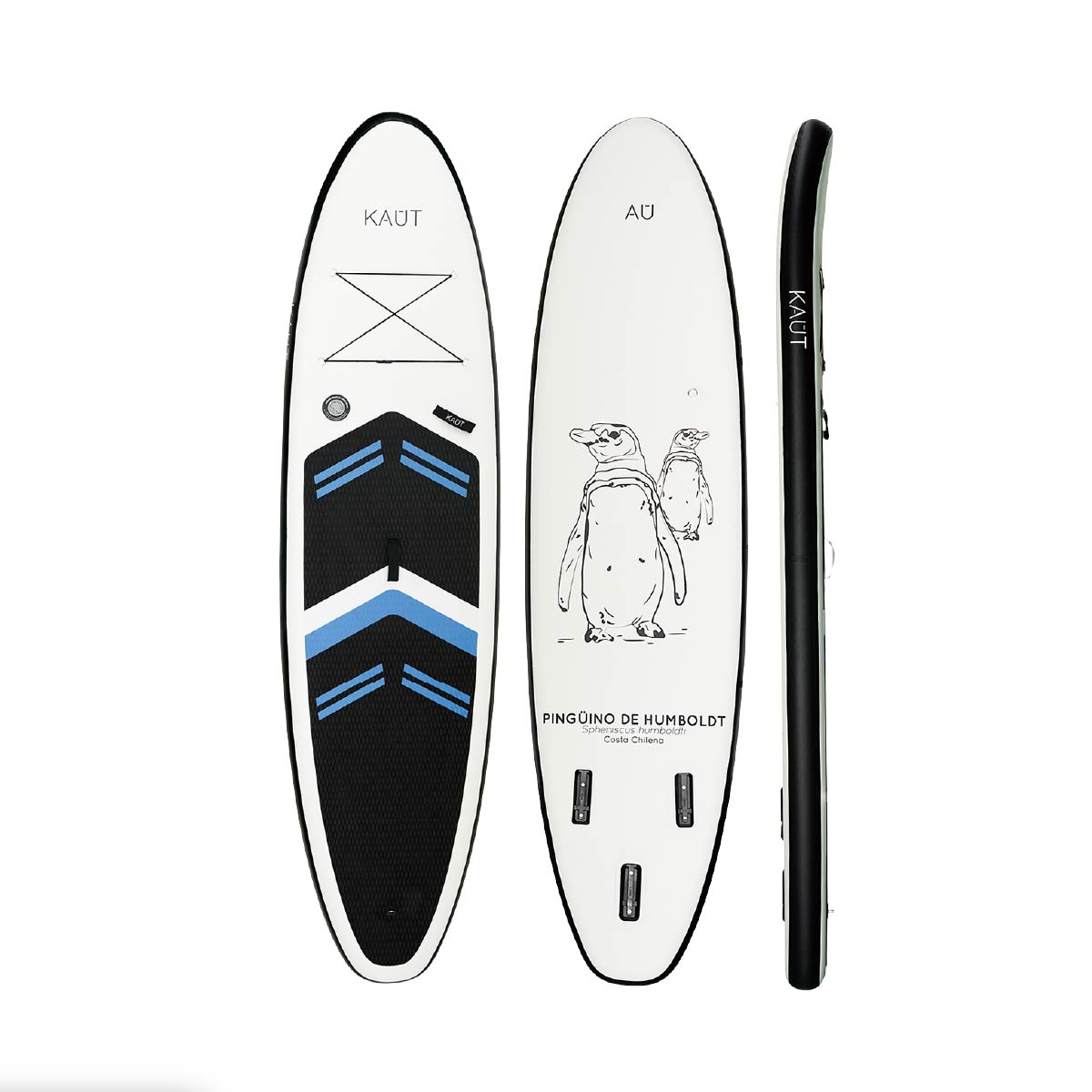 Stand Up Paddle (SUP) Inflable Capa Reforzada - 10'6'' pies / 320 cm + Mochila & Accesorios + TestDrive Laguna Aculeo