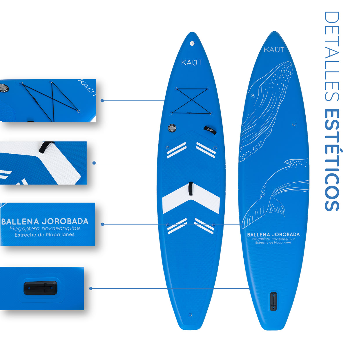 #color_azul