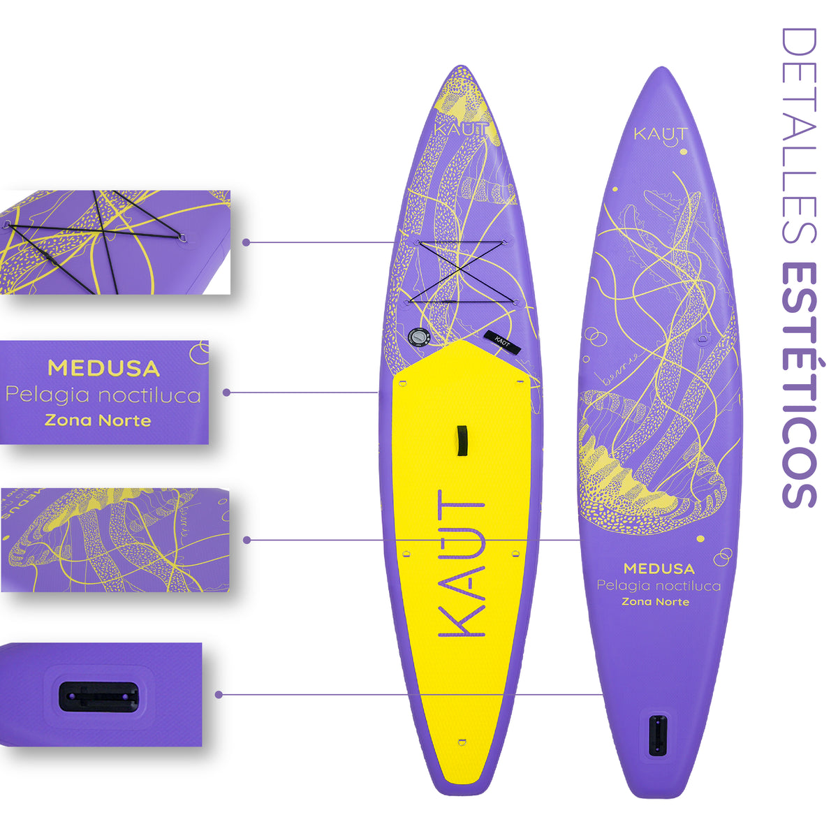 #color_morado