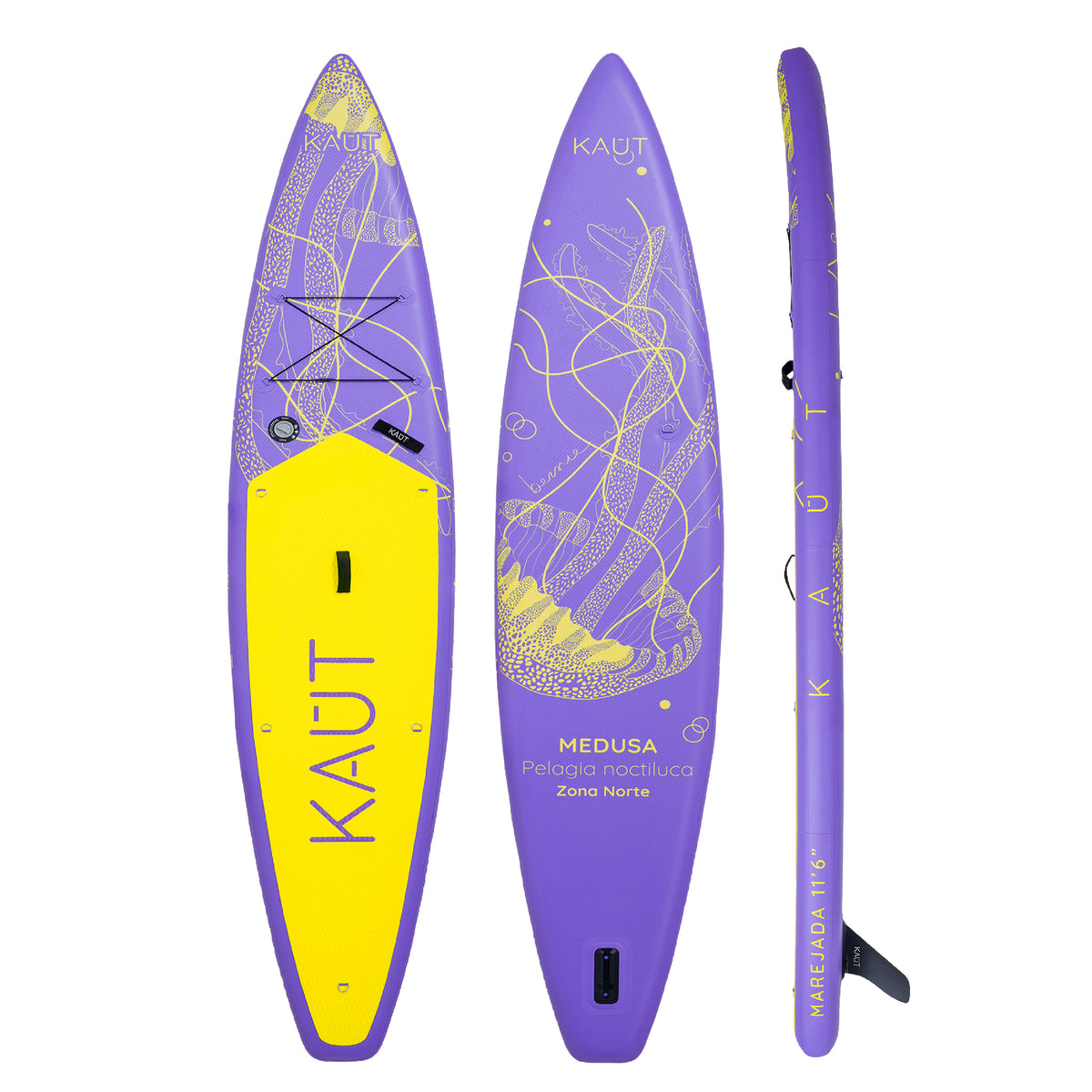 #color_morado