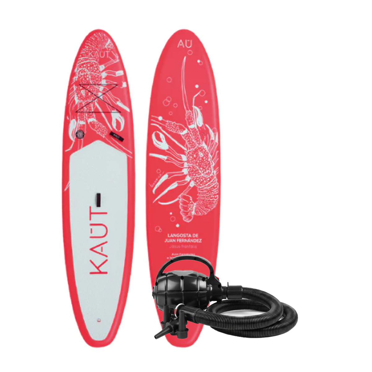 Pack SUP 10'6'' (320 cm) & Accesorios  + Bombin Eléctrico