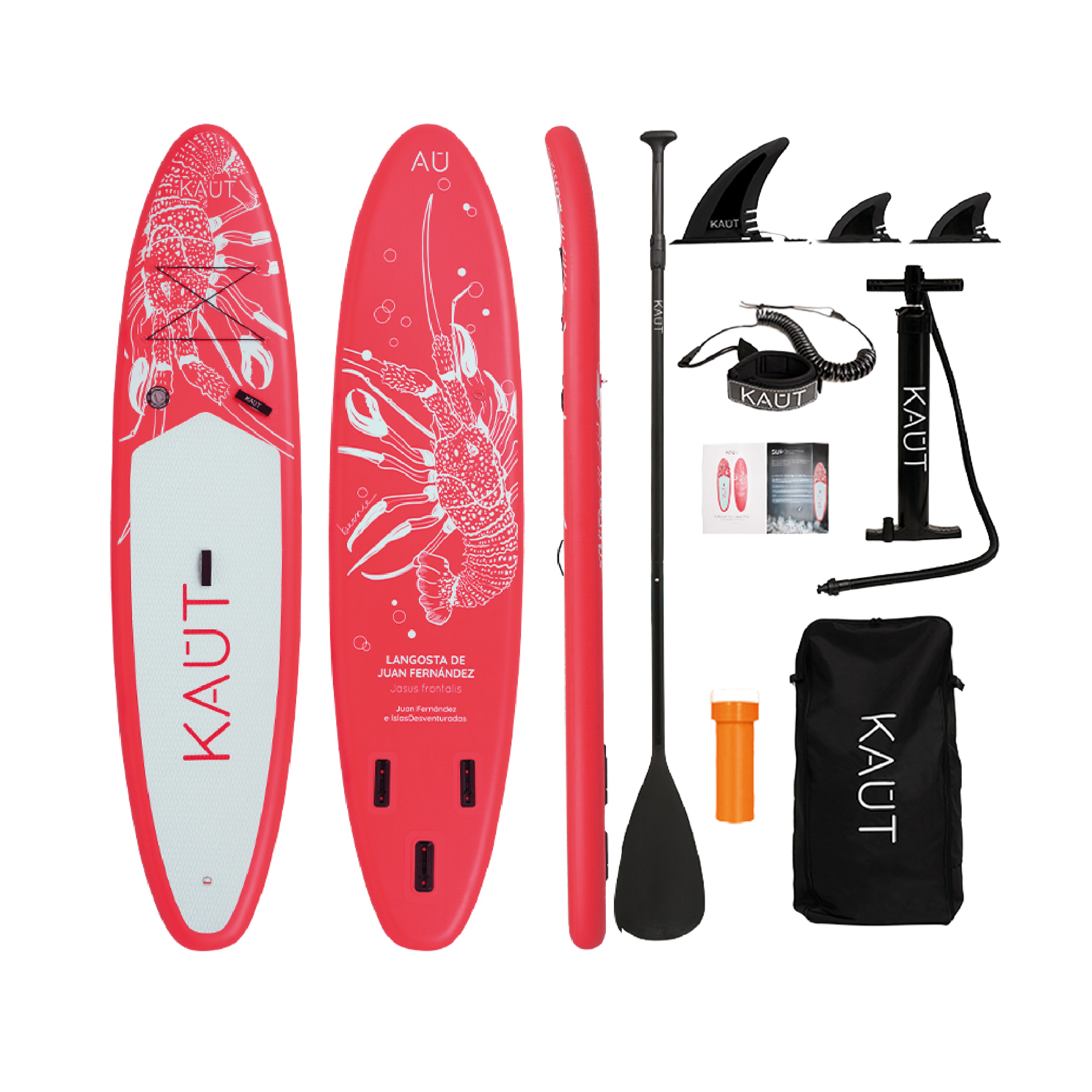 Stand Up Paddle (SUP) Inflable Capa Reforzada - 10'6'' pies / 320 cm + Mochila & Accesorios + TestDrive Laguna Aculeo