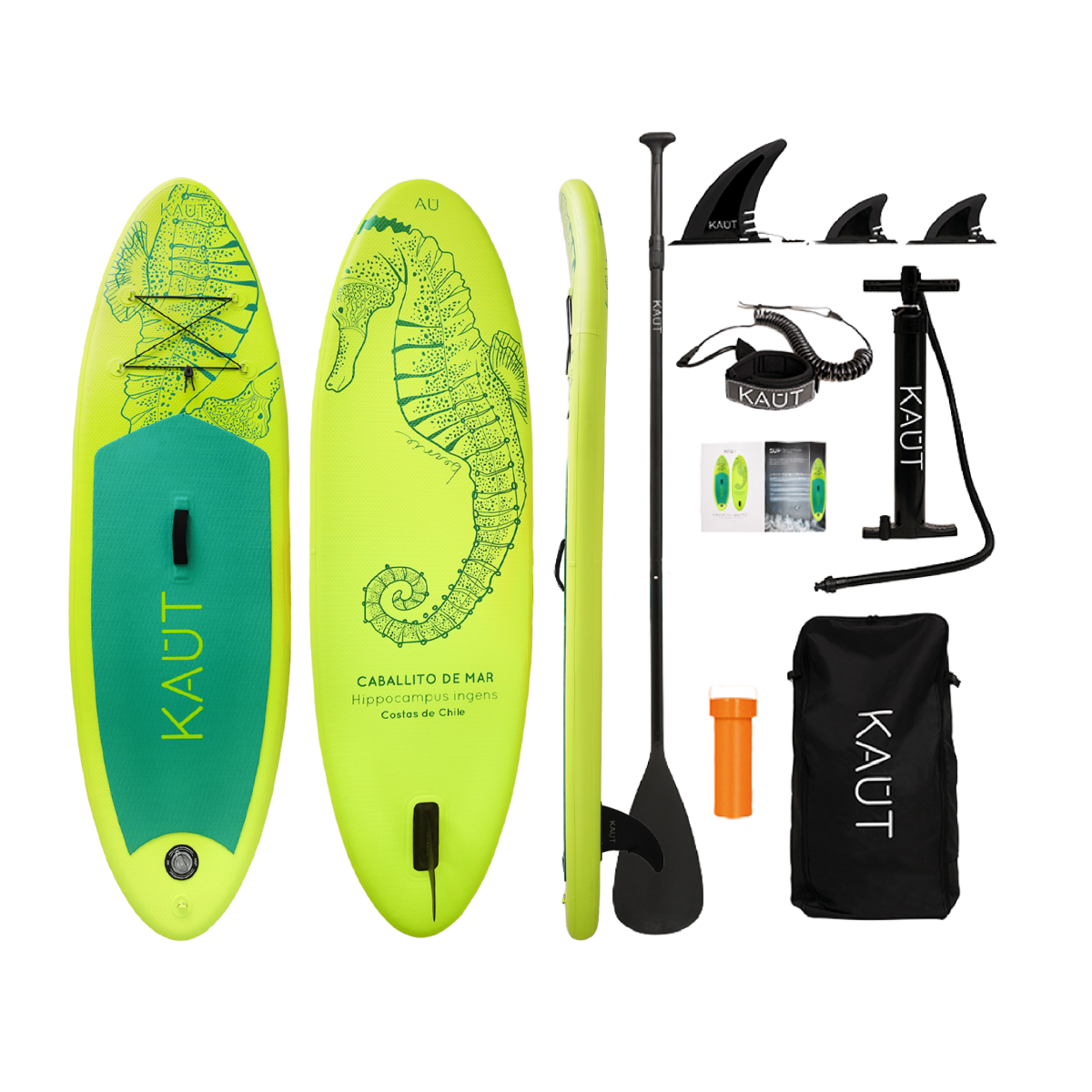 Stand Up Paddle (SUP) Inflable Capa Reforzada Kids Caballito de Mar- 8' pies / 244 cm + Mochila & Accesorios + TestDrive Laguna Aculeo