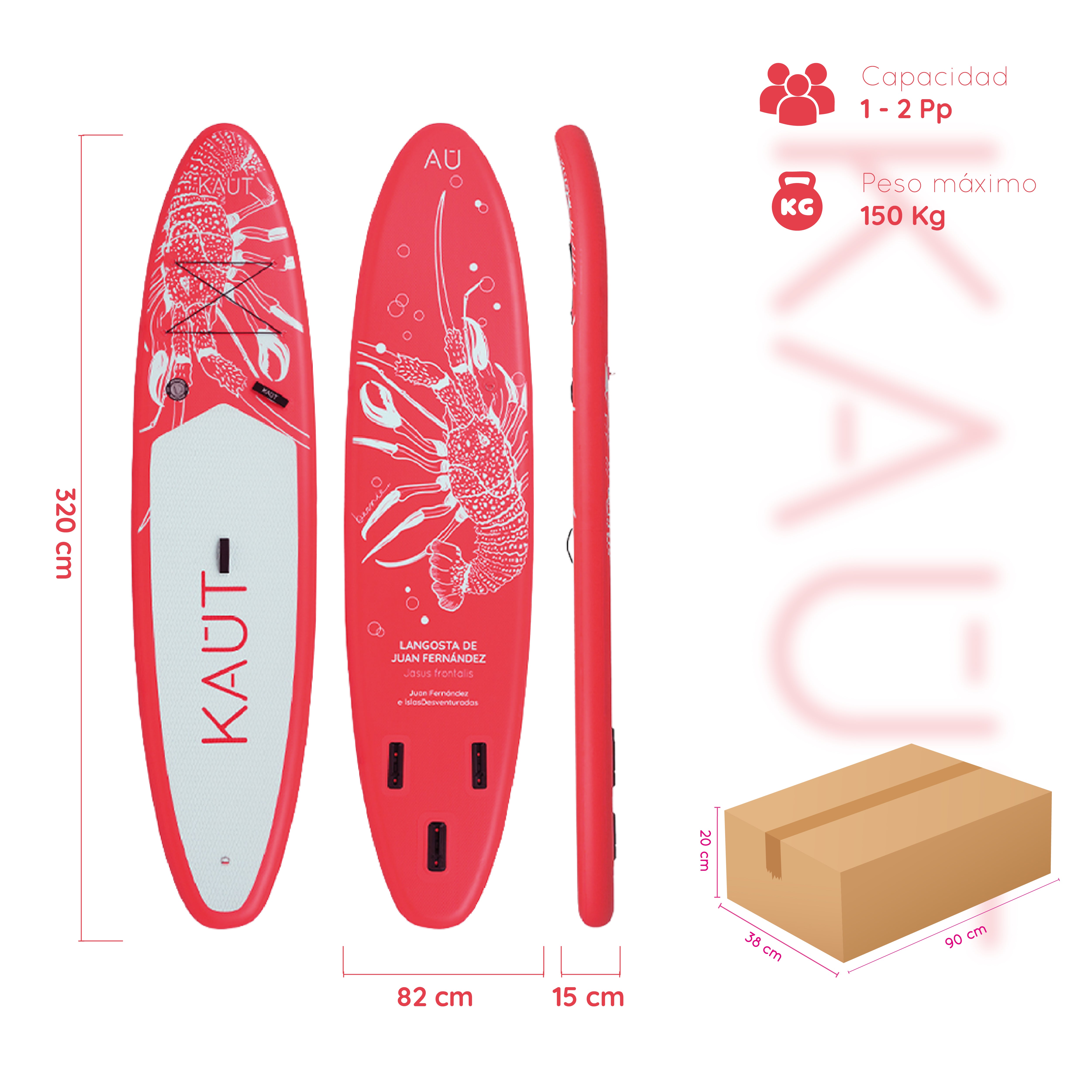 Stand Up Paddle (SUP) Inflable Capa Reforzada - 10'6'' pies / 320 cm + Mochila & Accesorios + TestDrive Laguna Aculeo