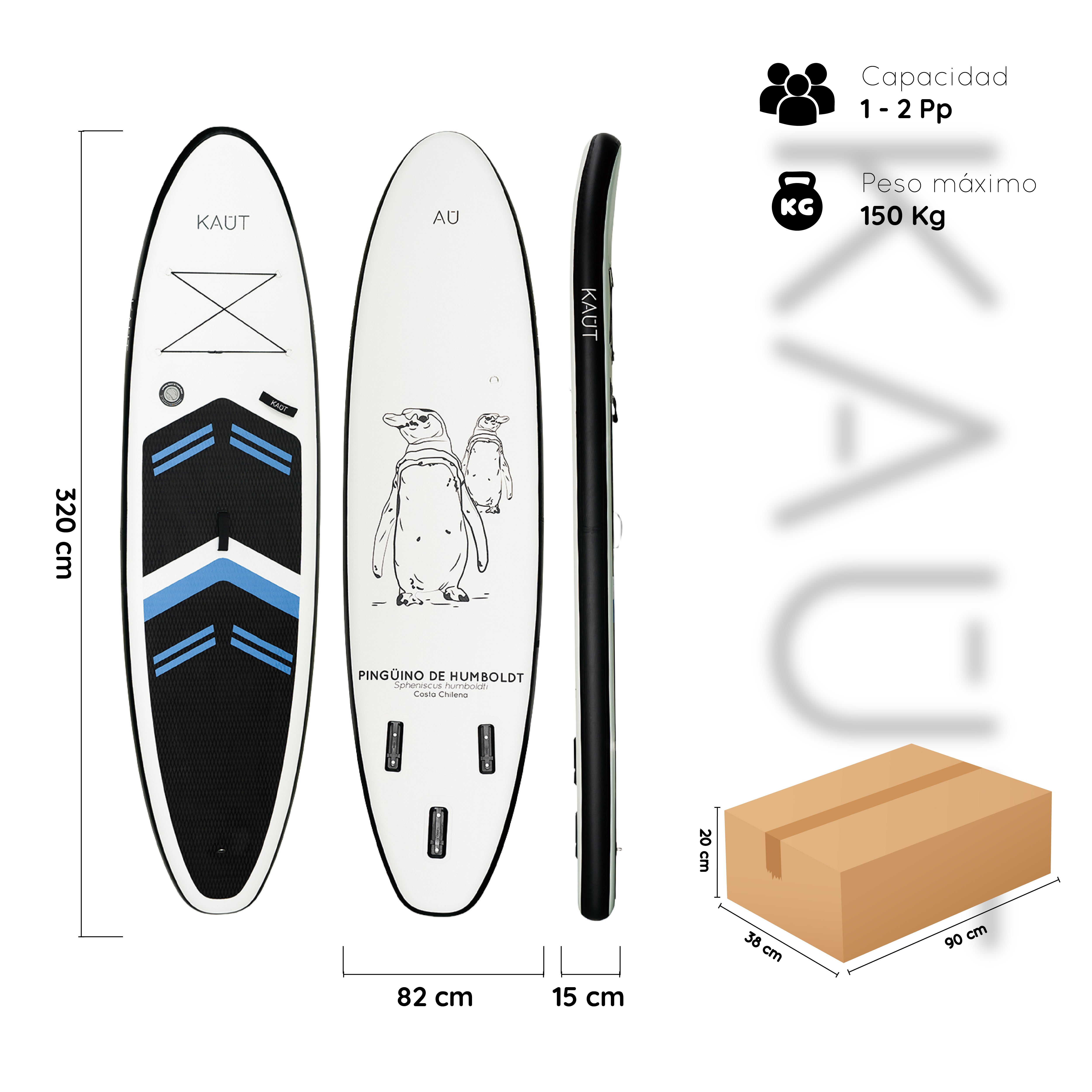 Stand Up Paddle (SUP) Inflable Capa Reforzada - 10'6'' pies / 320 cm + Mochila & Accesorios + TestDrive Laguna Aculeo